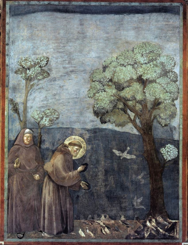 ,   / Bondone, Giotto di  -    .  15.  