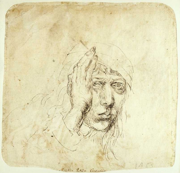 ,  / Dürer, Albrecht  -   
