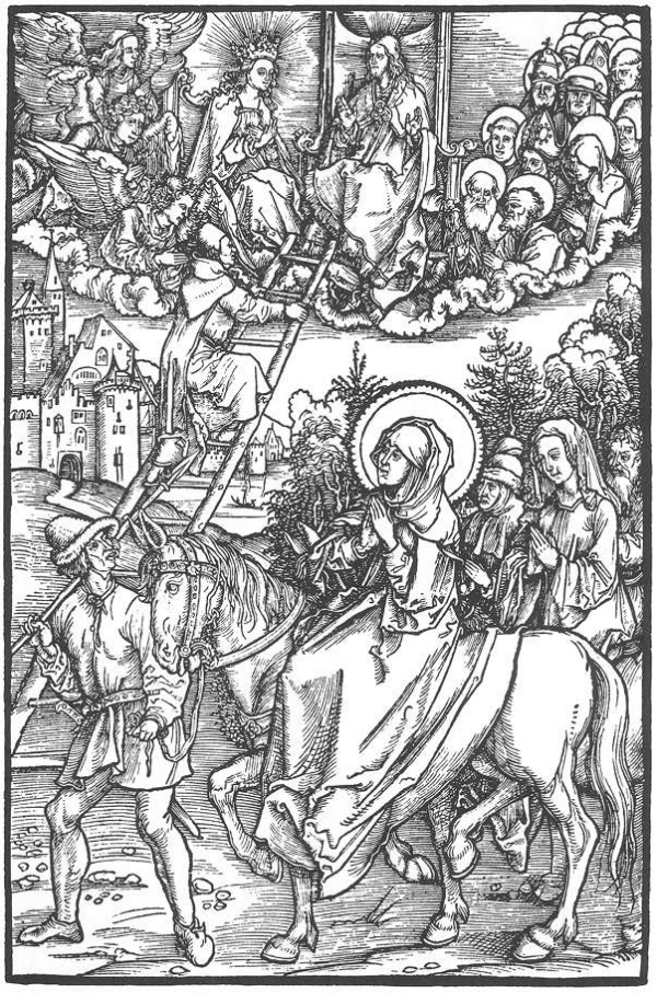 ,  / Dürer, Albrecht  -   «  ».   .