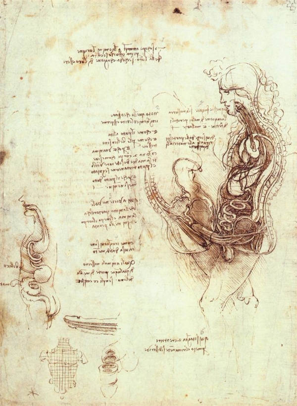 ,   (     ) / Vinci, Leonardo da (Leonardo di ser Piero da Vinci) -         .