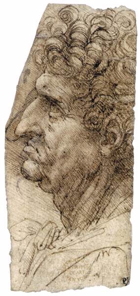 ,   (     ) / Vinci, Leonardo da (Leonardo di ser Piero da Vinci) -  ,  